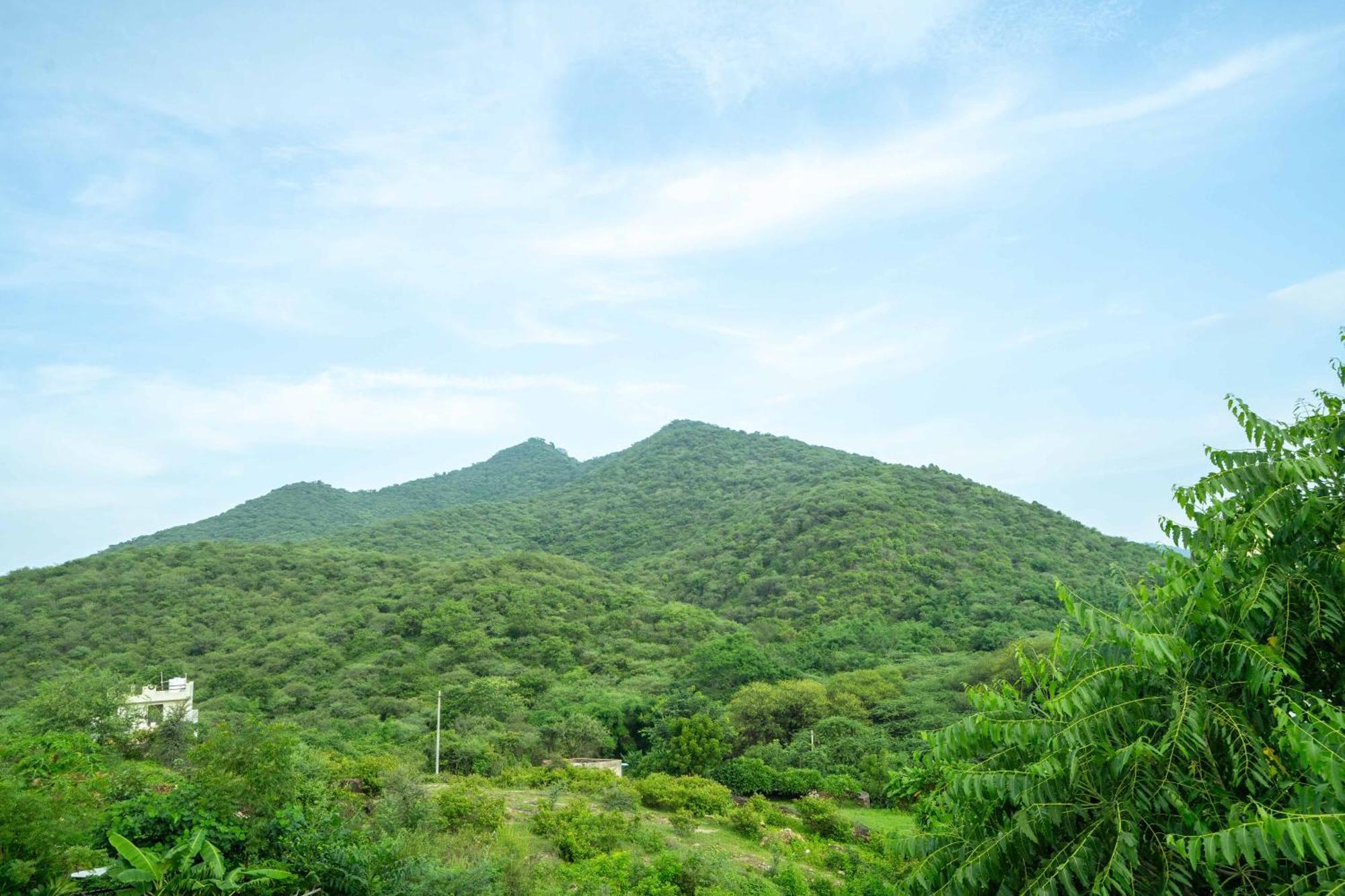 מלון אודייפור Treebo The Aravali Getaway מראה חיצוני תמונה